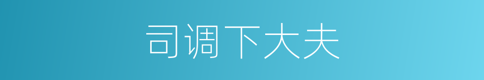 司调下大夫的同义词