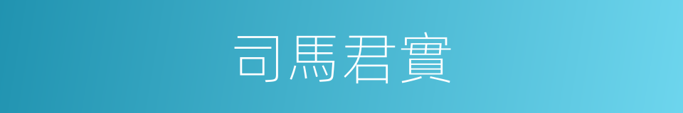 司馬君實的同義詞