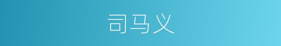 司马义的同义词