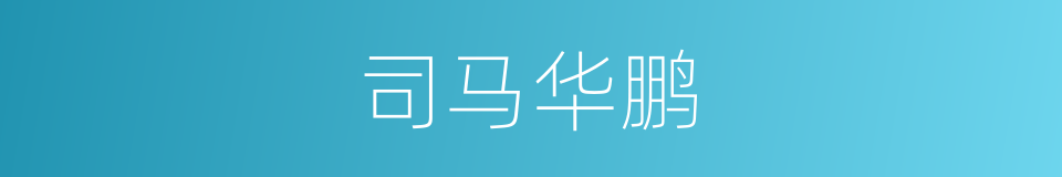 司马华鹏的同义词