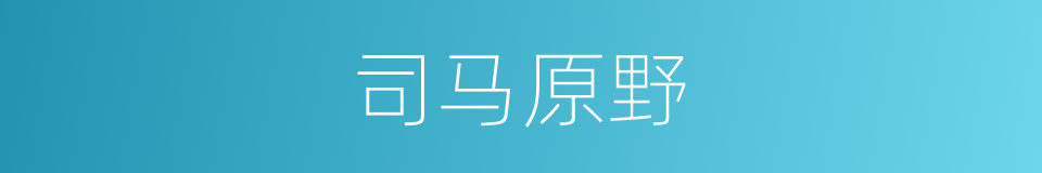 司马原野的同义词