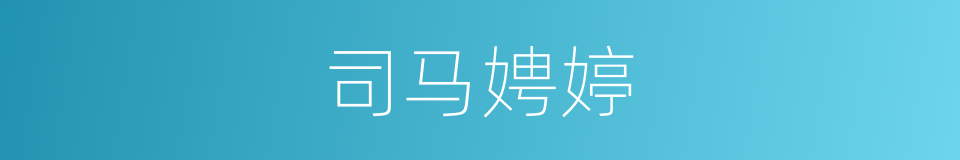 司马娉婷的同义词