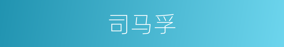 司马孚的同义词