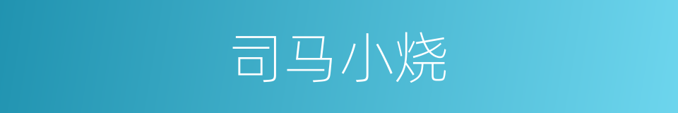 司马小烧的同义词