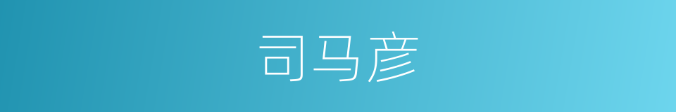 司马彦的同义词