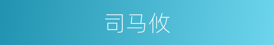 司马攸的同义词