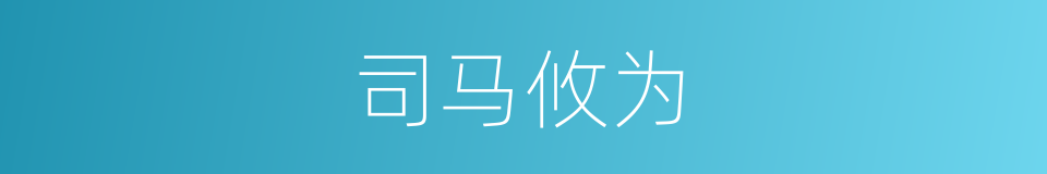 司马攸为的同义词