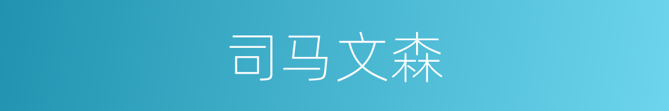 司马文森的同义词