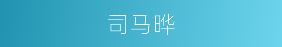 司马晔的同义词