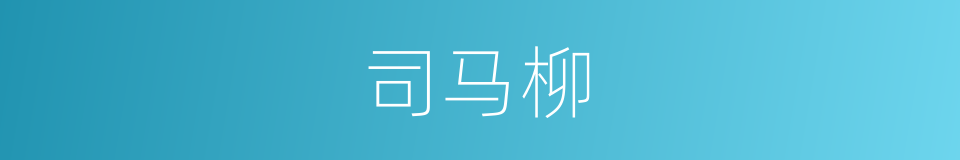 司马柳的同义词
