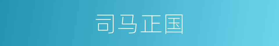 司马正国的同义词