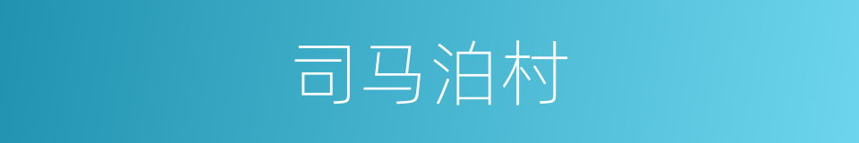 司马泊村的同义词