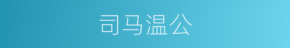 司马温公的同义词