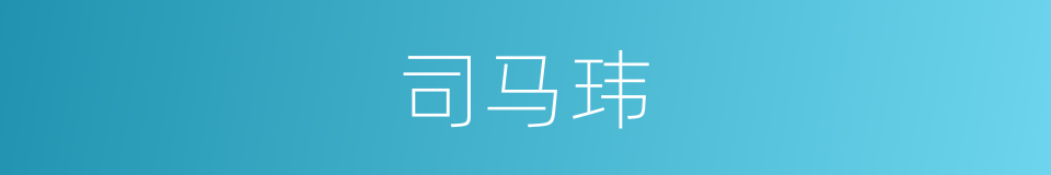 司马玮的同义词