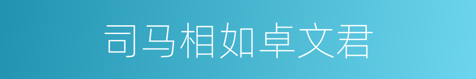 司马相如卓文君的同义词