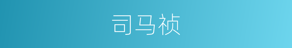 司马祯的同义词