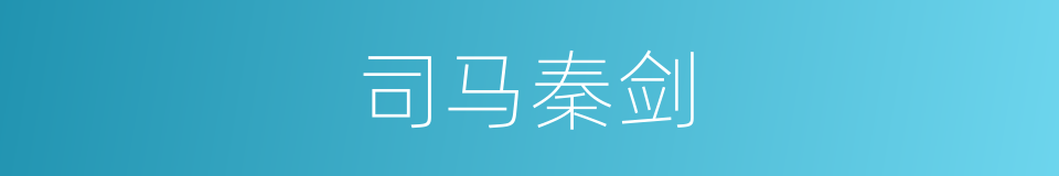 司马秦剑的同义词