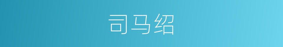 司马绍的同义词