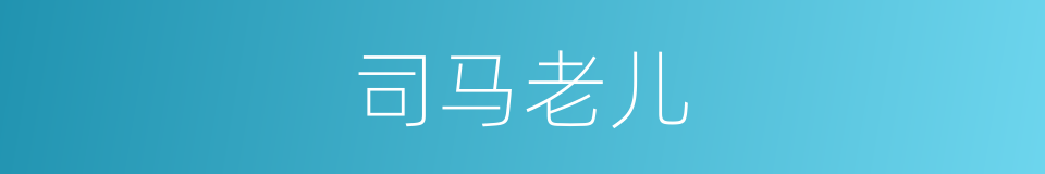 司马老儿的同义词