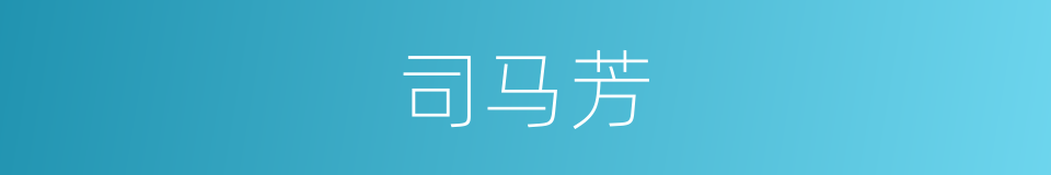 司马芳的同义词