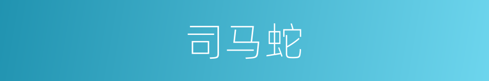 司马蛇的同义词