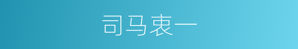 司马衷一的同义词