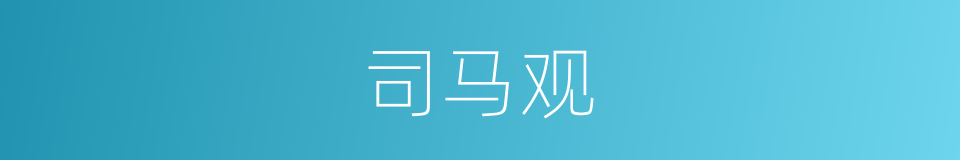 司马观的同义词