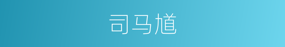 司马馗的同义词