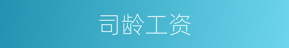 司龄工资的同义词