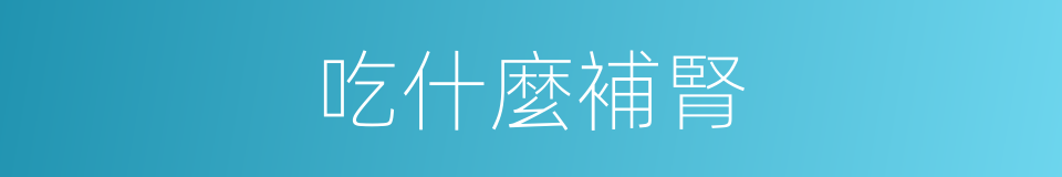 吃什麼補腎的同義詞