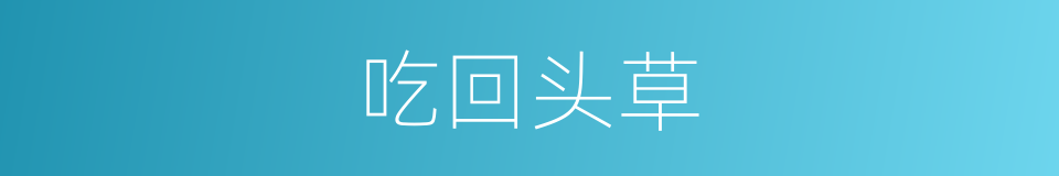 吃回头草的意思