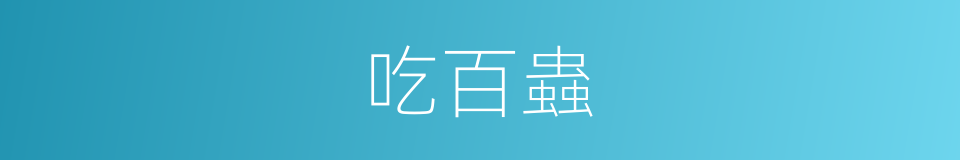吃百蟲的同義詞