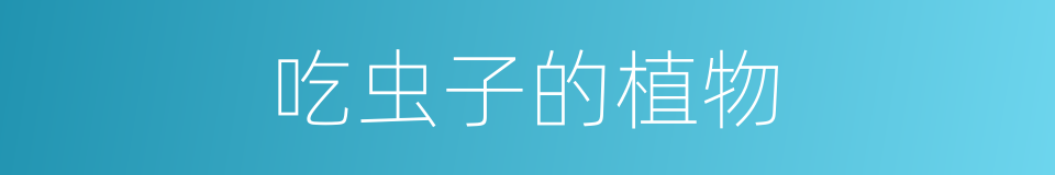 吃虫子的植物的同义词