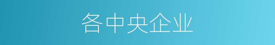 各中央企业的同义词