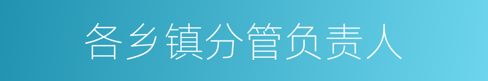各乡镇分管负责人的同义词