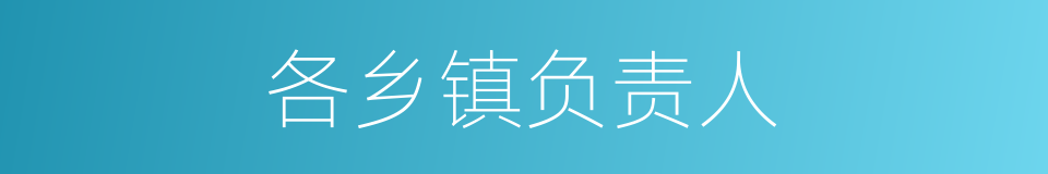 各乡镇负责人的同义词