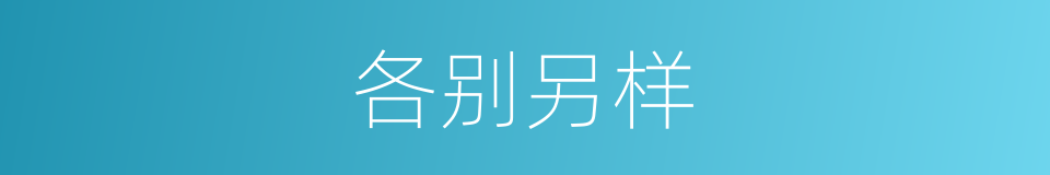 各别另样的意思