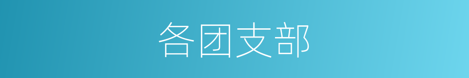 各团支部的同义词