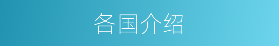 各国介绍的同义词