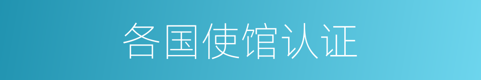 各国使馆认证的同义词