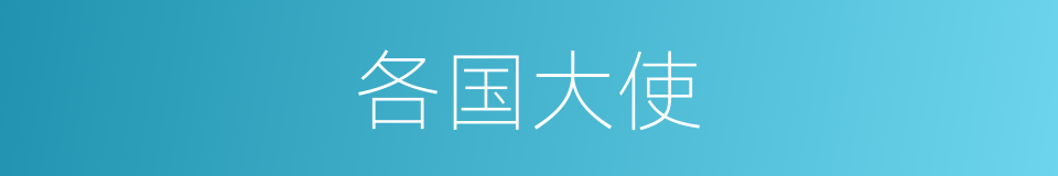 各国大使的同义词