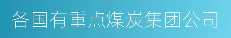 各国有重点煤炭集团公司的同义词