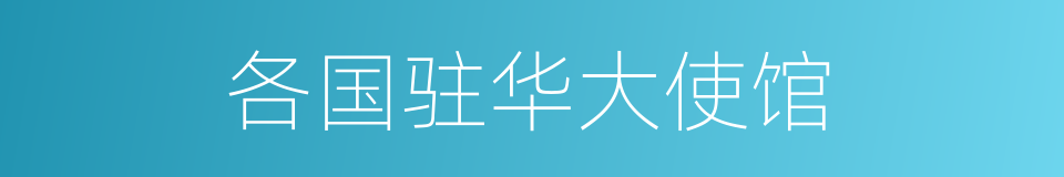 各国驻华大使馆的同义词