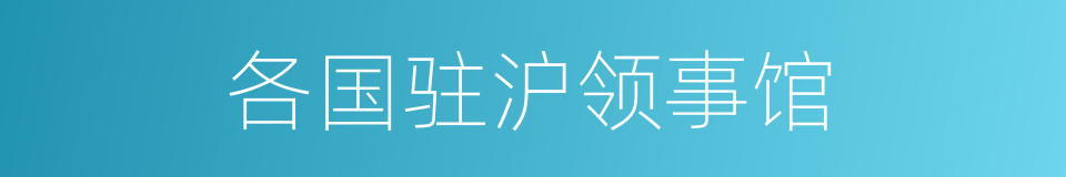 各国驻沪领事馆的同义词