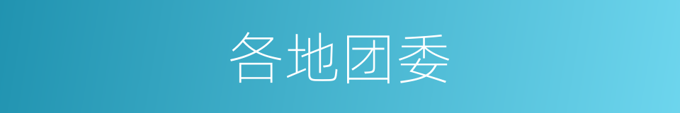 各地团委的同义词