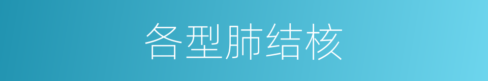 各型肺结核的同义词