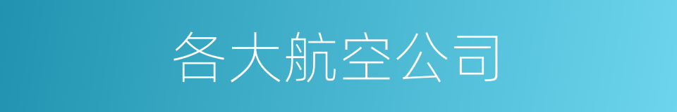 各大航空公司的同义词