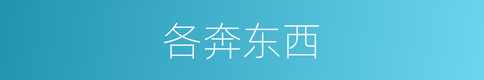 各奔东西的意思
