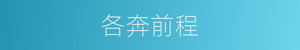各奔前程的意思