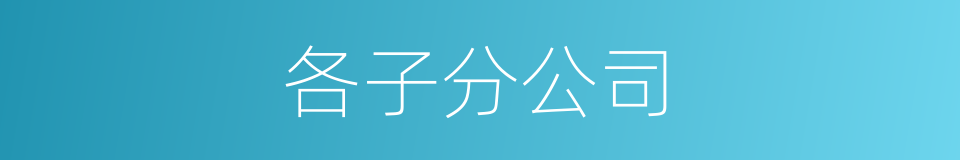 各子分公司的同义词